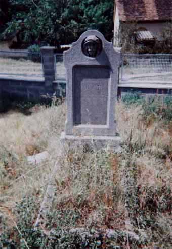 View larger image View larger image