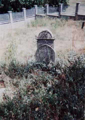 View larger image View larger image