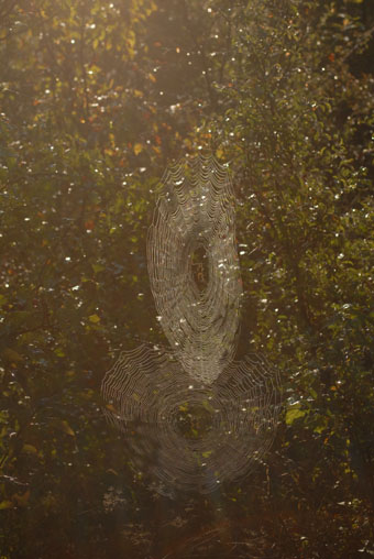 View larger image View larger image