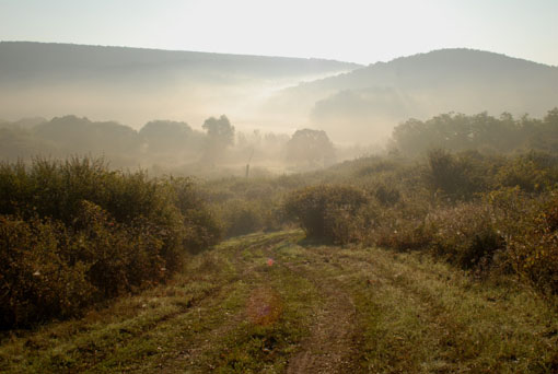 View larger image View larger image