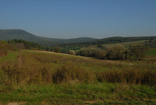 View larger image View larger image