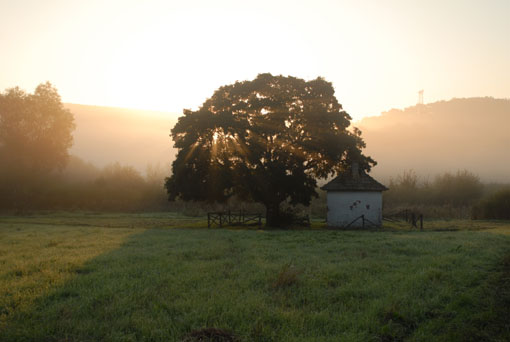 View larger image View larger image