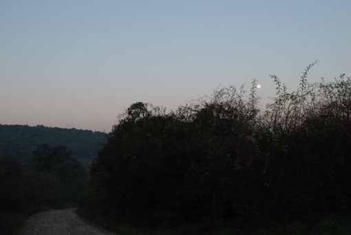 View larger image View larger image