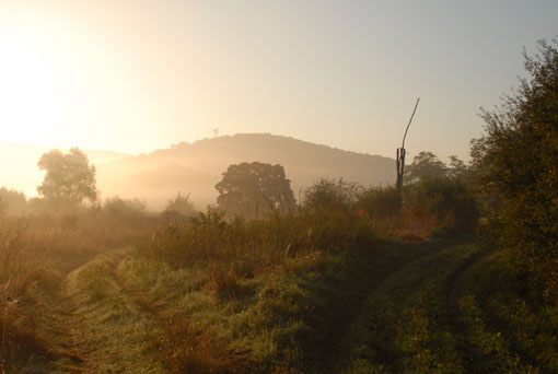 View larger image View larger image