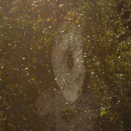 View larger image View larger image