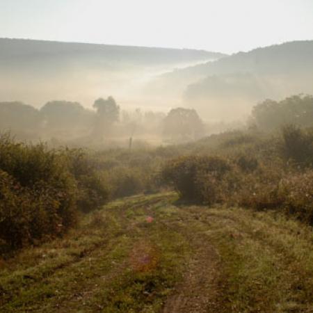 View larger image View larger image