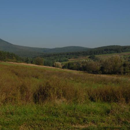 View larger image View larger image