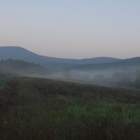 View larger image View larger image