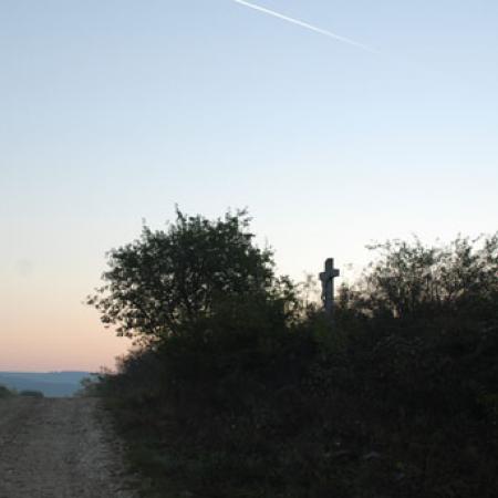 View larger image View larger image