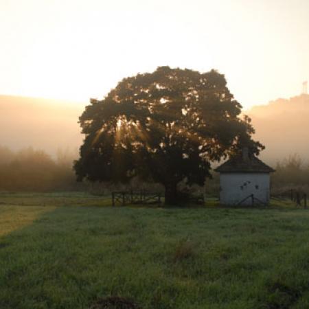 View larger image View larger image