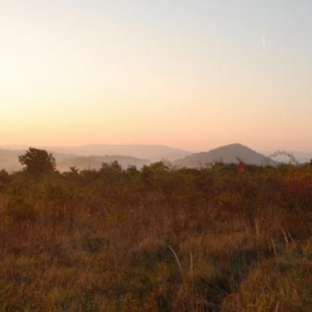 View larger image View larger image