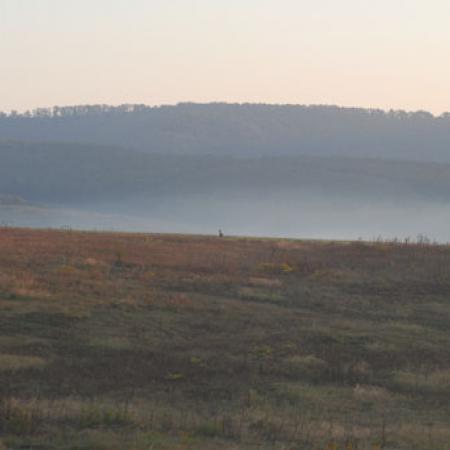 View larger image View larger image