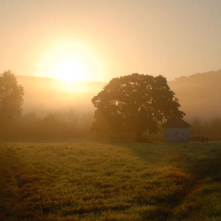 View larger image View larger image