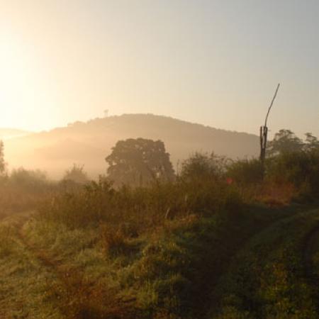 View larger image View larger image